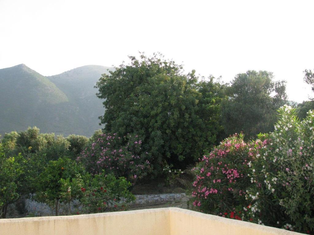 Skoutari Beach Hotel Zimmer foto
